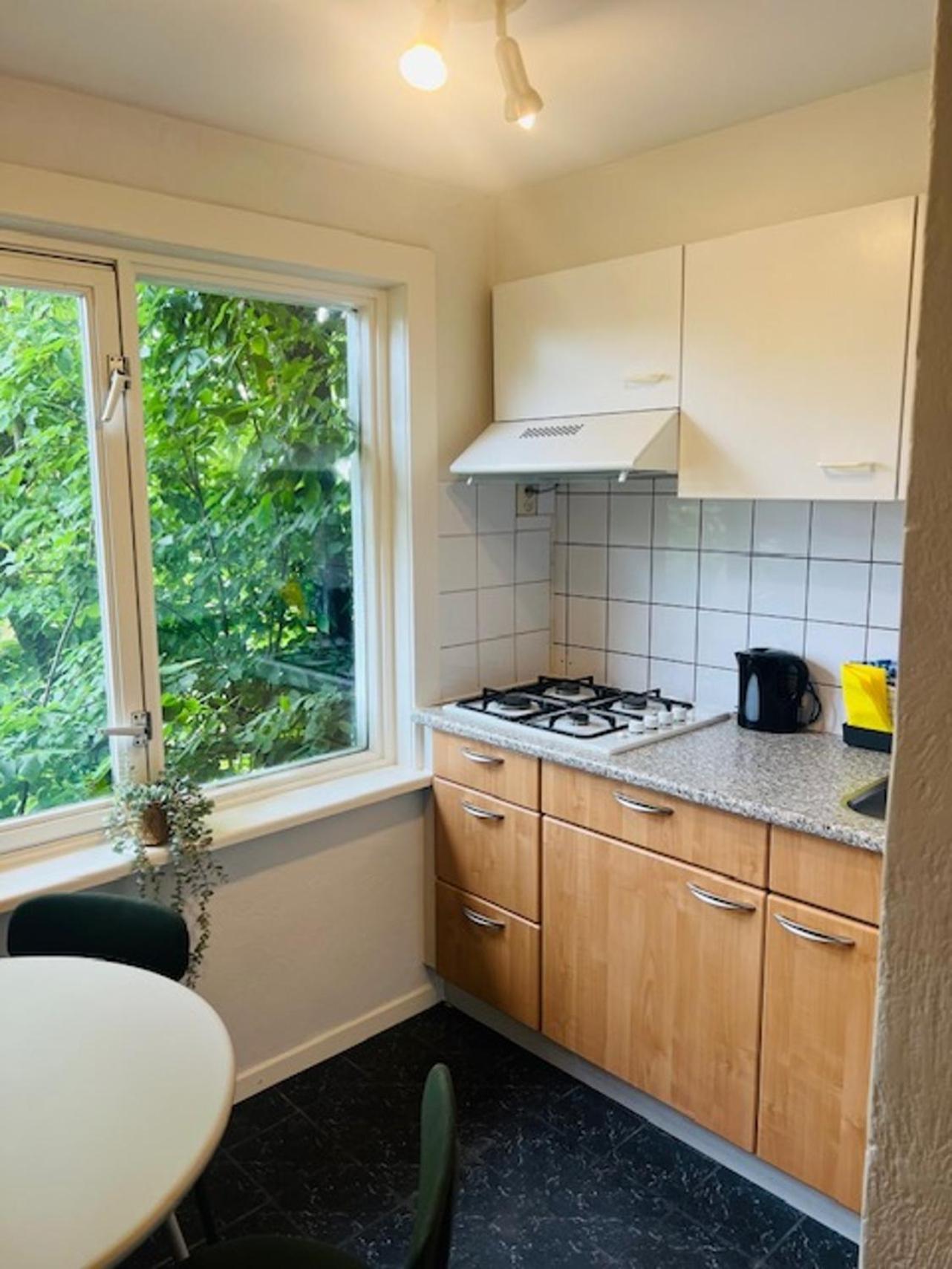 4P Apt With Rooftop Terrace At Piushaven Centrum Tilburgo Exterior foto